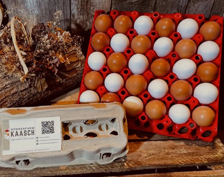 Frische Freilandeier